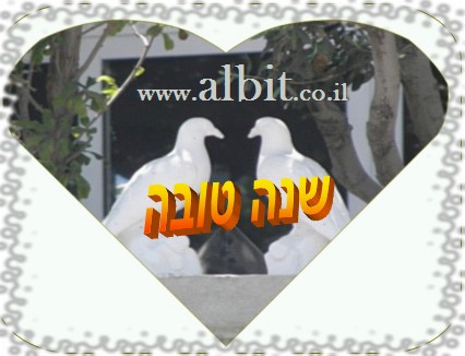 ����� ���� ����