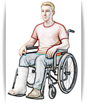 ���������� ������ ������ ������