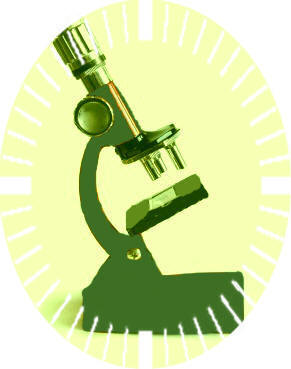 ����� ������ ����� ����