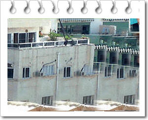 ���� ����� ��� ���� - ���� ����������